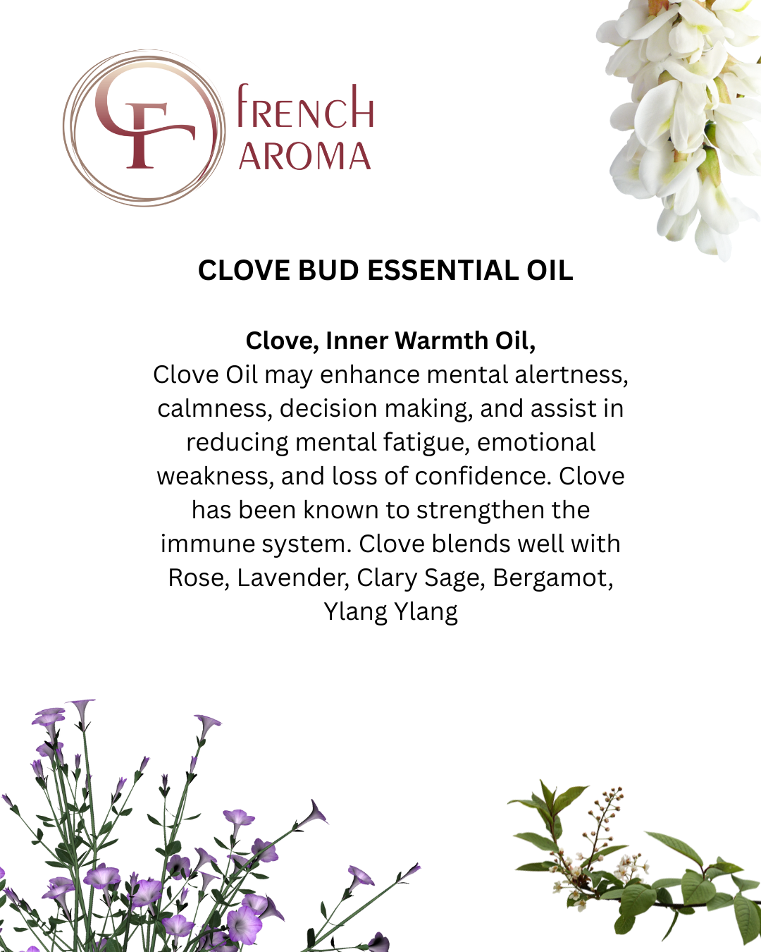 Clove Bud Essential Oil